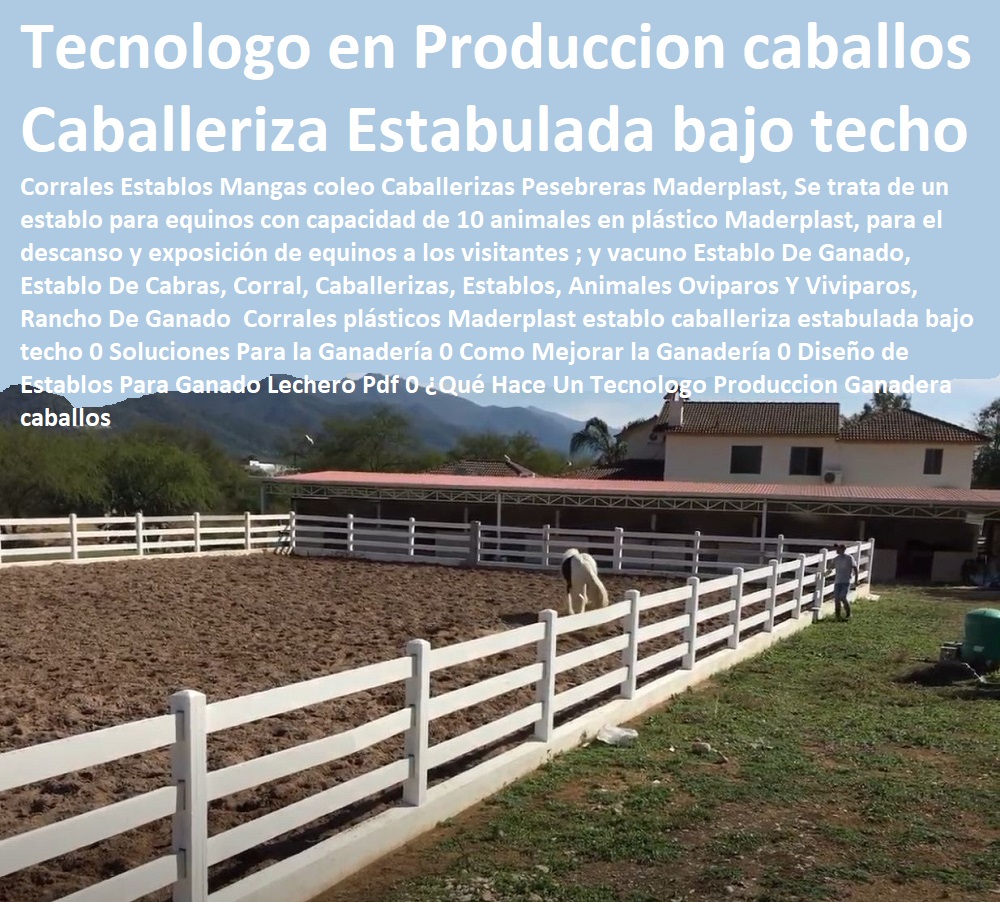 Corrales plásticos Maderplast establo caballeriza estabulada bajo techo 0 Soluciones Para la Ganadería 0 Como Mejorar la Ganadería 0 Explotación Ganadera Automatizada, Sistemas de Pastoreo, Estabulación de Ganado, Pastoreo Intensivo, Establos, Corrales, Saladeros, Comederos, Cerramientos, Postes, Ganaderías Tecnificadas, Ganaderías Tecnificadas, Diseño de Establos Para Ganado Lechero Pdf 0 ¿Qué Hace Un Tecnologo Produccion Ganadera caballos Corrales plásticos Maderplast establo caballeriza estabulada bajo techo 0 Soluciones Para la Ganadería 0 Como Mejorar la Ganadería 0 Diseño de Establos Para Ganado Lechero Pdf 0 ¿Qué Hace Un Tecnologo Produccion Ganadera caballos